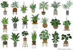 Indoor Plant Food | All-purpose House Plant Fertilizer | Liquid Common Houseplant Fertilizers for Potted Planting Soil | by Aquatic Arts
