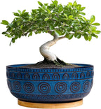 Eightpot Bonsai Pots 8 Inch - Ceramic Succulent Pots for Indoor Plants, Shallow Round Planters with Drainage Hole and Saucer, Boho Bonsai Bowl, Home Decor, Blue