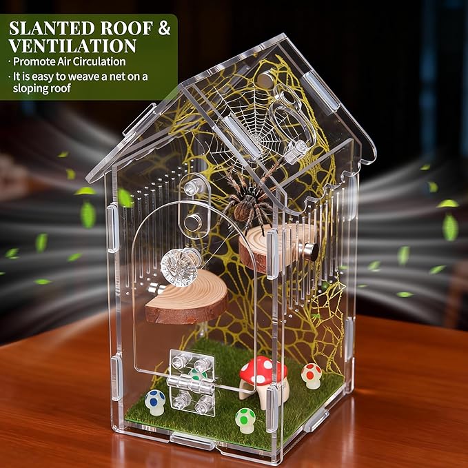 Hysagtek Jumping Spider Enclosure - Acrylic Arboreal Tarantula Enclosure Small Reptile Terrarium with Magnetic Door, Clear Jumping Spider Enclosure Accessories