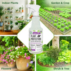 Mighty Mint Peppermint Oil Plant Protection Spray – Insect & Pest Control for Gnats, Spider Mites & Aphids – Plant-Based, Easy-to-Use - 16 oz