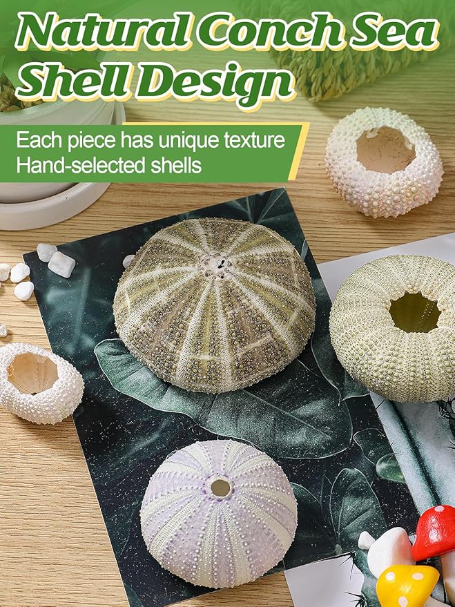 5 Pack Mini Sea Urchin Shell Air Plant Holders- 5 Styles Decorative Hanging Air Plant Pot, Tillandsia Succulent Display Container for Home Gardening Gifts Garden Beach Theme Party Decors, No Plants