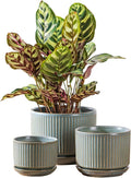 Green Ceramic Plant Pots Set of 3, 4.3+5.5+6.7 Inch Indoor Flower Pots with Drainage Hole & Saucer & Hole Mesh Pads, Striped Decorative Planter Set for Indoor Plants, Gardening Pots & Accessories