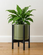 D'vine Dev Ceramic Planter with Ebony Stand - 10 Inch Modern Round Flower Pot with Wood Planter Holder, Olive, 55-B-L-J