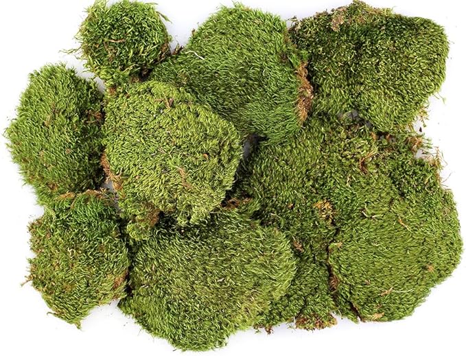 SuperMoss (21537) Mood Moss – Natural Moss for Home Decor, Terrariums, Floral Arrangements, and Craft Projects, 1,564 cu in, Dried