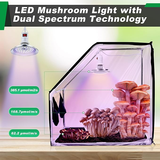 Meonum Large Still Air Box Mushroom Grow Tent, 30x20x20 in Mycology Fume Hood Propagation Stations with LED Growing Light and Thermometer, Monotub Kit for Grow Bags, Growers, Home Scientists(Clear)