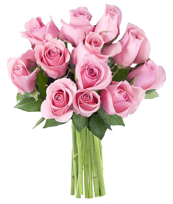 KaBloom - Bouquet of 12 Fresh Pink Roses (Farm-Fresh, Long-Stem) - Fresh Flowers for Birthday, Valentine's & Mother's Day