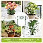 6 Pack Peony Cages and Supports, 12" x 24" Tall Peonies Support Cage, Heavy Duty Metal Peony Stakes and Supports for Rose Hydrangea Flower Plant