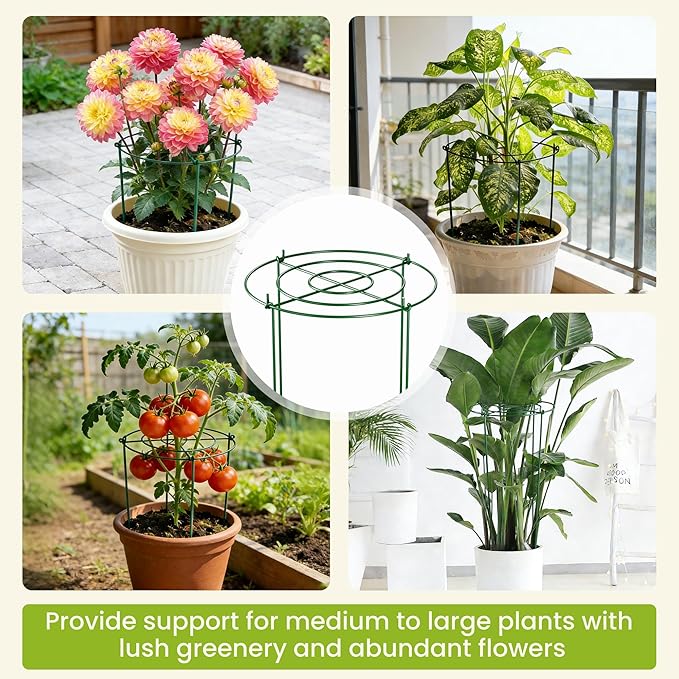 6 Pack Peony Cages and Supports, 12" x 24" Tall Peonies Support Cage, Heavy Duty Metal Peony Stakes and Supports for Rose Hydrangea Flower Plant