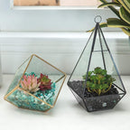 RIFNY Decorative Polished Rocks, 0.3" Gravel Rocks Crushed Crystal for Plant Flower Pots Succulents Cactus Bamboo Plant Vase Filler Aquarium Fish Tank Decorations (1.5 LB, Black Obsidian)