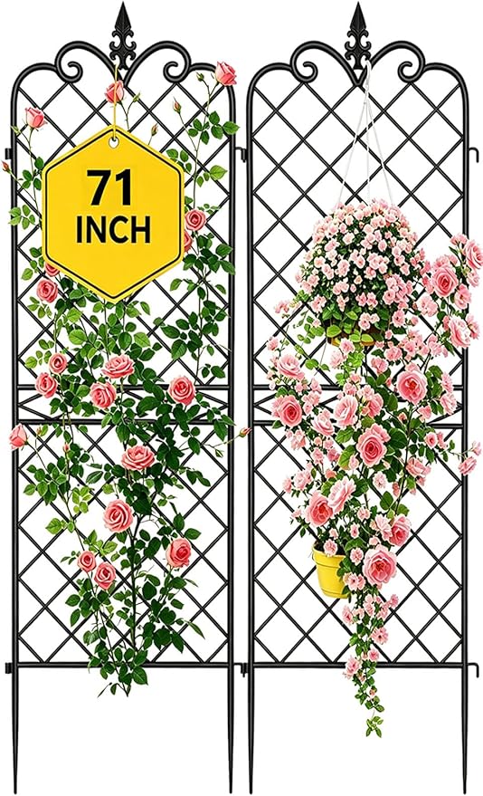 AMAGABELI GARDEN & HOME Garden Trellis 2 Pack 71”x20” Heavy Duty Rustproof Wall Trellis for Climbing Plants Outdoor Metal Decoration Large Trellis for Potted Plants Support Trellis Roses Black