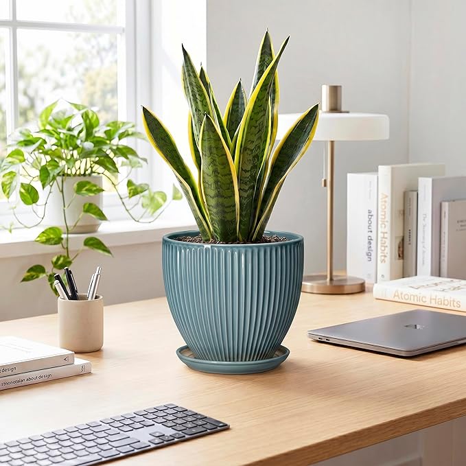 Ceramic Planter, 8 Inch Plant Pot Indoor with Drainage Hole and Saucer, Decorative Planters for Indoor Plants, Modern Flower Pots, Round Planter, Room Decor, Gifts for Plant Lovers, Glaze Blue