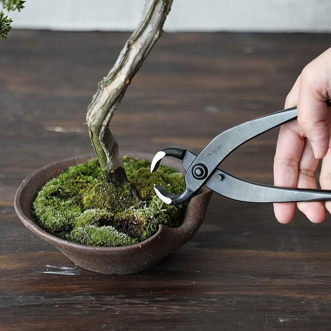 Wazakura Japan Hand Forged Bonsai Root Cutter 8.25" (210mm) - Japanese Carbon Steel Bonsai Tool for Root Cutting & Trunk Splitting - Handmade in Sanjo Niigata by Master Blacksmiths