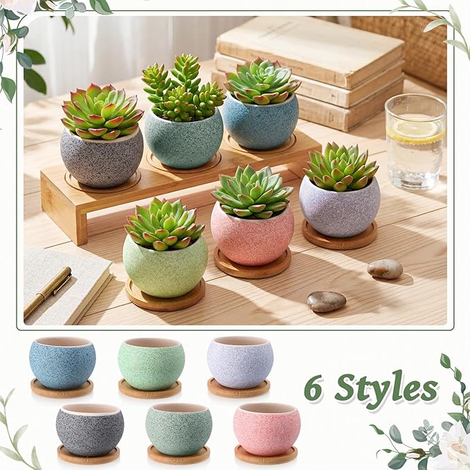 Thenshop 12 Pcs Small Succulent Pots Set with Drainage 3 Inch Plant Pots Ceramic Succulent Planters with Bamboo Saucers 6 Colors Small Planters for Cactus, Herbs, Mini Plants