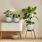 10 Inch Flower Pots Indoor - Ceramic Planter with Drainage Hole and Saucer, Large Flower Pots for Indoor Outdoor Plants, Round Modern Planter, Garden Decor, Plant Lover Gifts, Crackle Green