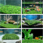Hermit Crab Climbing Wall Fish Tank Decorations 3PCS 9 inches Artificial Plastic Lawn Landscape Green Plants for Saltwater Freshwater Tropical Fish Tank Decoration,with 12 Pcs Suction Cups