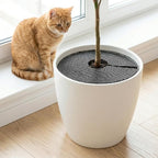 PAGOW 2pcs Plant Protectors from Animals, Breathable Cuttable Plant Pot Soil Cover, Round Flexible Squirrel Guards for Potted Plants Gardening Digging Stopper - Black