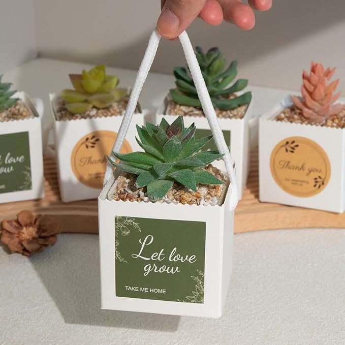 Temlum 2.5 Inch Succulent Wrap Bags (Fits 2.5″ Pots) with Thank You & Let Love Grow Stickers, Small Gift Box for Wedding, Baby Shower, Succulent Party Favors for Guests (White 40pcs)