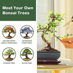 LUOJIBIE Bonsai Tree Kit, Complete Bonzai Tree Starter Kits, for Mom, Unique Christmas Birthday Gardening Gifts for Women Mom Men Grandkids, Crafts Hobby Kits
