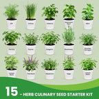 Herb Garden Starter Kit – Fruivity 12800+ 15 in 1 Herb Heirloom Seed Kits for Indoor/Outdoor Planting | Herb Indoor Garden Kit Starter - Complete Herb Garden Starter Set with Gift Packaging for Family