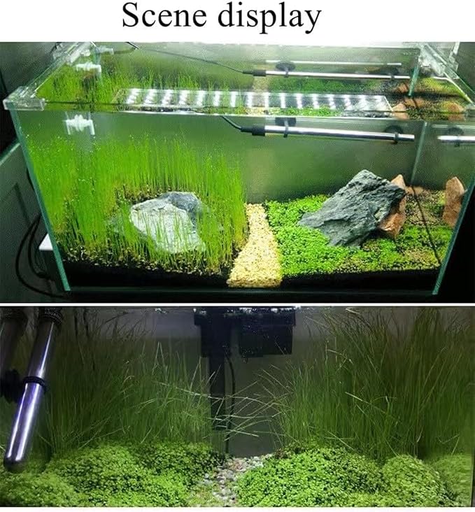 2 Pack Live Aquarium Plants S.e.e.ds - Dwarf Leaf and Long Hair Combo for Aquarium Fish Tank (0.35oz Each)