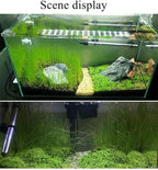 2 Pack Live Aquarium Plants S.e.e.ds - Dwarf Leaf and Long Hair Combo for Aquarium Fish Tank (0.35oz Each)