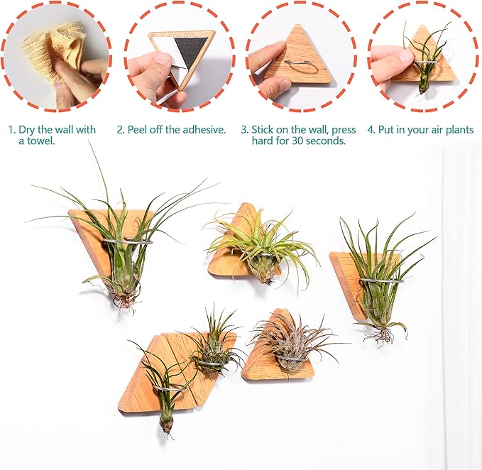 MITIME Air Plants Holders-Real Wood Live Air Plant Holders.Rustic Air Plant Stand,Wall-mounted to save space.(Plants not included)( Triangle Set of 6