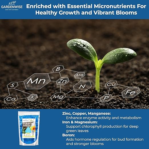 Gardenwise 20-20-20 Water-Soluble Fertilizer – Powder for Liquid Plant Food for Indoor & Outdoor Plants, Orchids, Vegetables, Lawns, Flowers – 20 20 20 Fertilizer 2 Quarts (4 lbs)