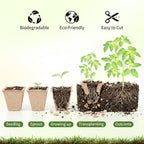 Prudiut 144 Cells Seed Starter Tray, 12 Pack Biodegradable Peat Pots, Plant Starter Kit for Seedlings with 50 Labels & Transplanting Tools, Germination Cups for Vegetables, Flowers, Herbs