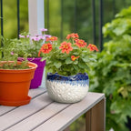 Ceramic Plant Pots - 6 Inch Orchid Pot for Indoor Outdoor Plants, Unique Pots for Plants with Drainage Hole and Plug, Modern Round Planter, Garden House Decor, Housewarming Gifts, Beige-blue