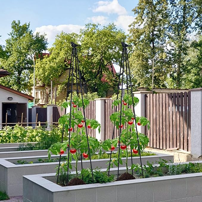 FOLLOOK Cucumber Trellis, 67" Tall Obelisk Garden Trellis for Climbing Plants Outdoor Plastic-Coated Metal Support for Flower Vine Vegetable Tomato Cage Cucumebr Trellis Raised Bed, Black, 2 Pack