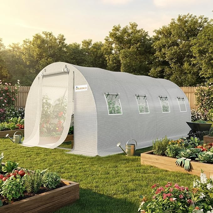 KING BIRD Premium 20x10x6.6FT Greenhouse for Outdoors, Large Walk-in Upgraded Galvanized Metal Frame, Mesh Door Screen Window Improved Zipper Tunnel Hoop for Garden Plant Winter, 2 Stiffeners, White
