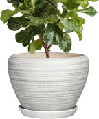 Ceramic Plant Pots Indoor - 10 Inch Planter with Drainage Hole and Saucer, Modern Planters for Indoor Outdoor Plants, Large Flower Pots, Bedroom Decor, Gardening Gifts, Textured Grey