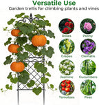 AMAGABELI GARDEN & HOME Garden Trellis 2 Pack 71”x20” Heavy Duty Rustproof Wall Trellis for Climbing Plants Outdoor Metal Decoration Large Trellis for Potted Plants Support Trellis Roses Black