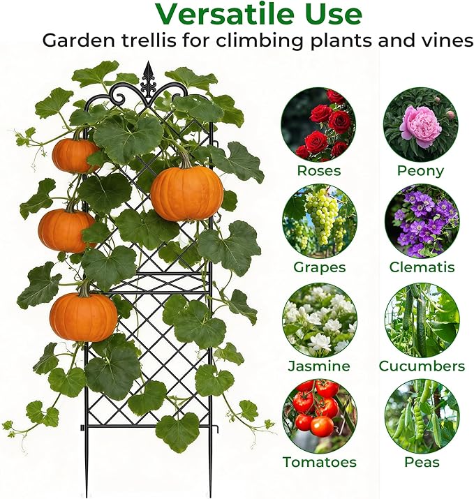 AMAGABELI GARDEN & HOME Garden Trellis 2 Pack 71”x20” Heavy Duty Rustproof Wall Trellis for Climbing Plants Outdoor Metal Decoration Large Trellis for Potted Plants Support Trellis Roses Black