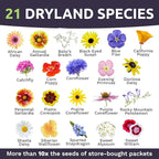 Drought Tolerant Wildflowers Mix – Bulk Quarter Pound Bag – Over 30,000 Open Pollinated Non-GMO Seeds – 21 Different Dryland Species