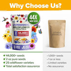 HOME GROWN Wildflower Seeds - 44,000 Non GMO USA Perennial Seeds (2oz) 19 Varieties for Butterfly & Pollinator Garden - Wild Flower Seed Mix for Full Sun & Shade