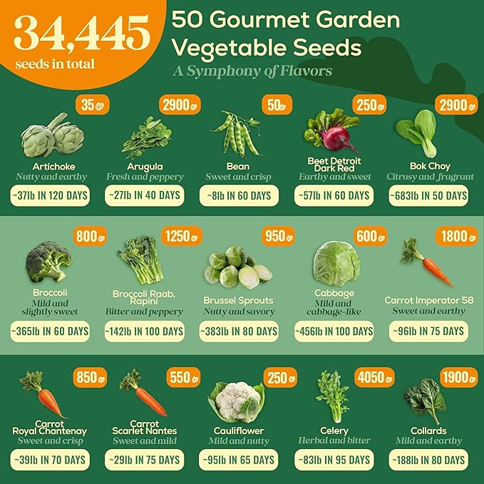 Seedphony 50 Gourmet Garden Vegetable Seeds Variety Pack - 34,455+ Non-GMO Heirloom Vegetables Seeds for Planting Indoor Outdoor: Broccoli, Carrot, Onion, Lettuce, Pepper - Gardening Seed Packets
