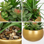 Briful Fake Succulents in Gold Metal Pot, Artificial Succulent Plants Arrangement for Home Decor, Small Faux Potted Plants Tabletop Centerpiece, Desk Office Bathroom Shelf Decorations
