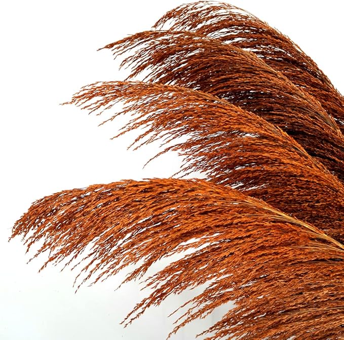 Pampas Grass Decor Tall,Burnt Orange Natural Pampas Grass, Dried Pompas Floral for Vase, Elegant Feather Flowers, Wedding Living Room Farmhouse Decorations(Natural Orange, 8pcs 31.5"(80cm))