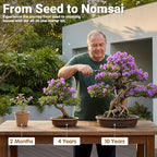 Bonsai Tree Starter Kit for Beginners 5 Unique Indoor Bonsai Trees with Gardening Tools DIY Bonsai Growing Kit Perfect Gifts for Women Men Plant Lovers for Birthday Easter Housewarming