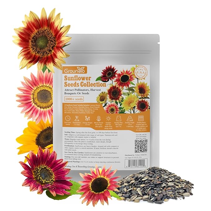 Groundio Sunflower Seeds for Planting, 15+ Varieties, 1 Oz, 300+ Mixed Seeds to Plant Colored Sunflower for Outdoors, Garden, Attracts Pollinators
