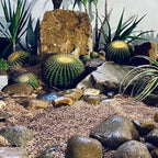YISZM 5lbs Aquarium Gravel, 1/16"(0.6-1.2mm) Natural River Rocks Succulent Cactus Pea Gravel for Plants, Fish Tank, Decorative Pebbles for Gardening, Flower Pots, Vase Fillers, Landscaping