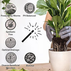 Craft Organic Houseplant Potting Mix, Elite House Plant Soil, Chunky, Well Draining Potting Soil for All Indoor Plants, Tropical Plants & Flowers, Sustainable & Peat Free, Less Prone to Gnats, 12QT