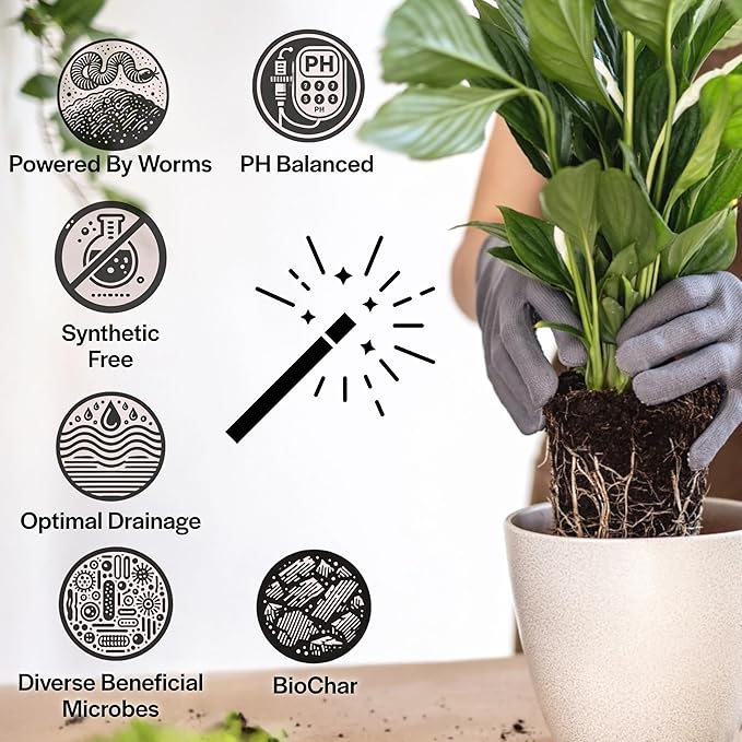 Craft Houseplant Potting Mix, Elite House Plant Soil, Chunky, Well Draining Potting Soil for Indoor Plants, Tropical Plants & Potted Plants, Sustainable & Peat Free, Less Prone to Gnats 4qt