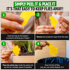 Super Ninja Gnat Traps for House Indoor - Fungus Gnat & Fruit Fly Traps - 10 Sticky Traps for Plants & 2 Highly Effective Fruit Fly Catchers for Indoors, Kid & Pet Friendly