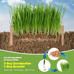 Cat Grass Kit for Indoor Cats - 3 Pack with Cat Grass Seeds, Nutrient Soil & Planter Pots | Complete Growing Set for Fresh Pet Grass (Non-GMO Wheat Grass)