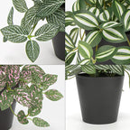 Hollyone Fake Plants 3 Packs Artificial Plants Indoor Faux Plants with Black Plastic Pot Small Fake Potted Plant for Home Aesthetic Living Room Bathroom Desk Shelf Office Decor