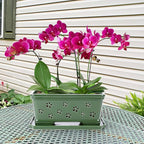 Orchid Pot with Holes12 Inch Ceramic Plant Pots with Drainage Holes and Tray, Promoting Air Circulation and Drainage, Indoor/Outdoor Green Flower Pots