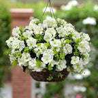 Artificial Geranium Flowers for Outdoor Decoration, 6 Bundles UV Resistant Silk Geranium Fake Plants Faux Flowers for Front Porch Garden Patio Window Box Outside Indoor Decor (White)