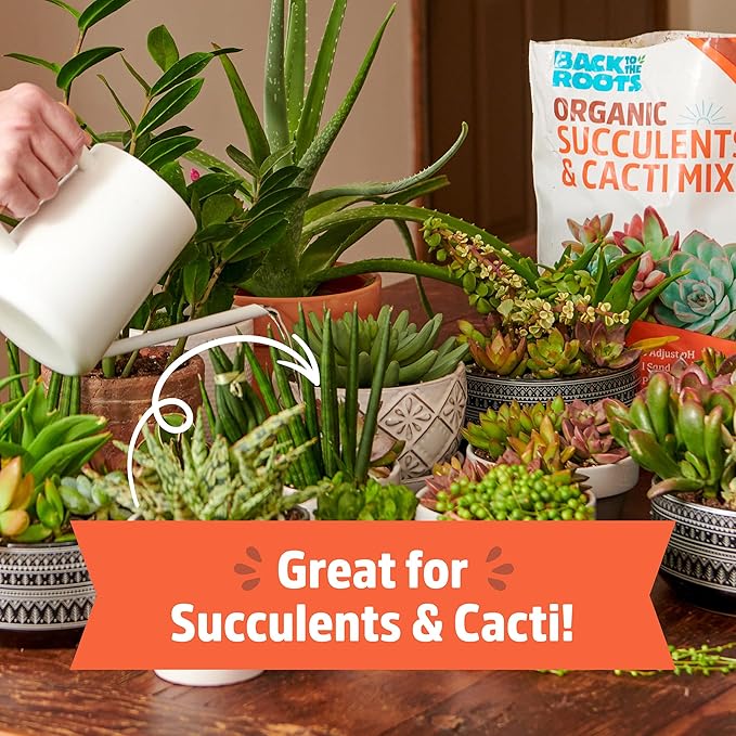 Back to The Roots 100% Organic Succulent & Cacti Mix (6 Quart) | Made in The USA | Premium Nutrition for Indoor and Outdoor Plants